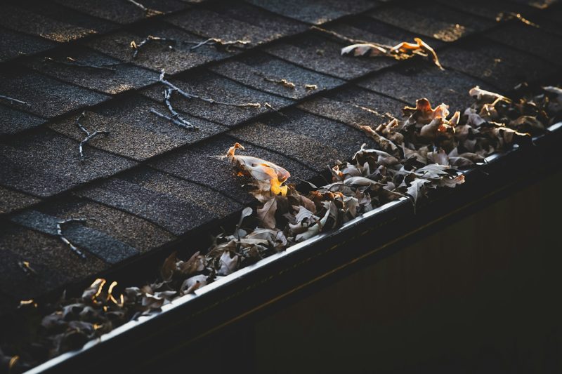 Gutter clogged with fall leaves on a shingle roof in Akron, OH